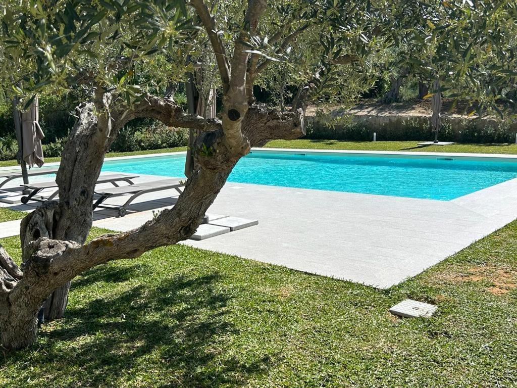 Civetta Blu Panzió Castellammare del Golfo Kültér fotó
